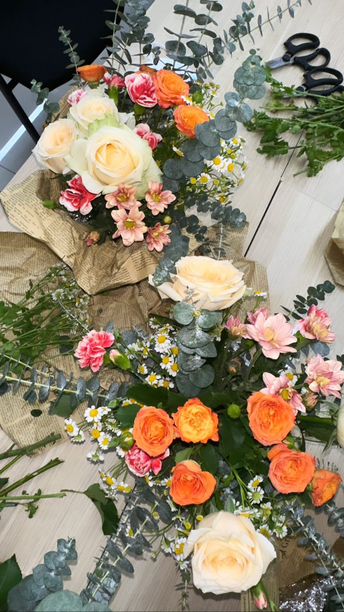 🌙 Orrery (@orrery_nim) on Twitter photo 