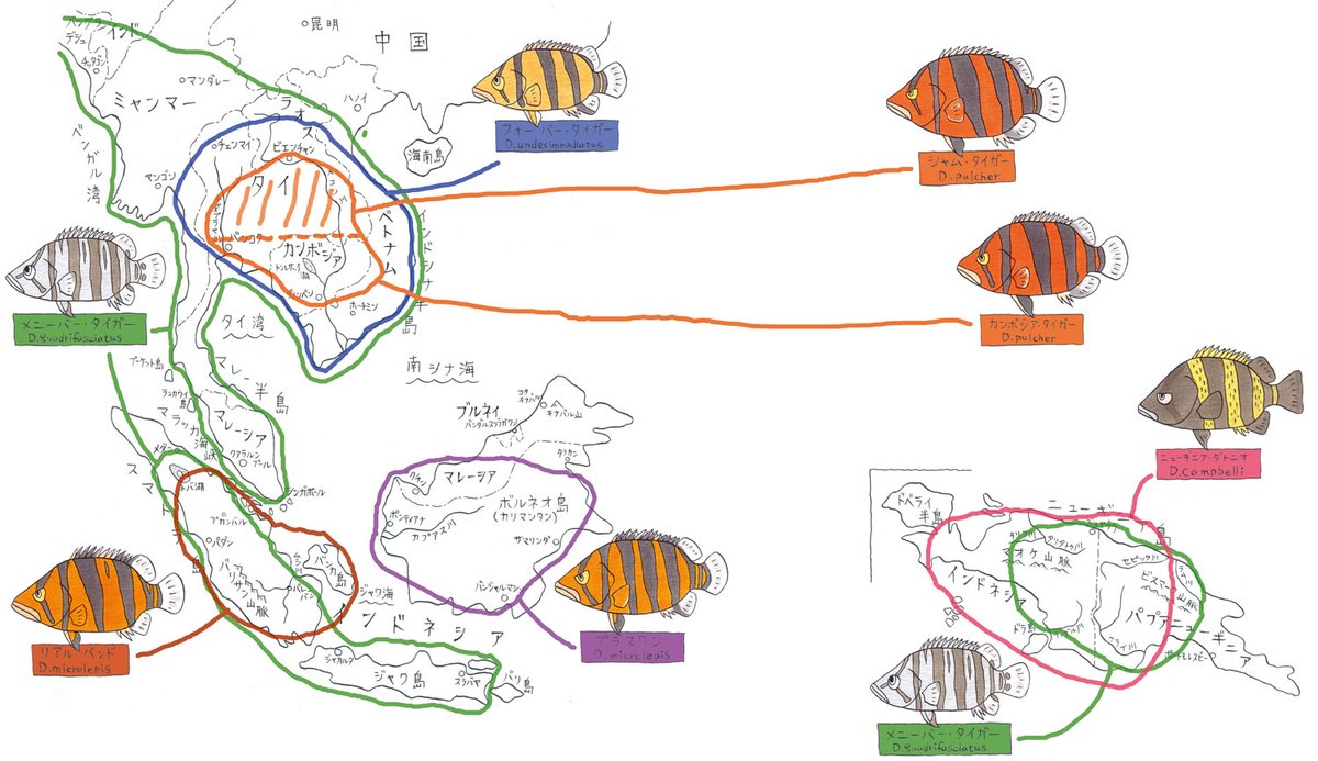 #地図の日 
1:オリジナル
2と3:昔のアクアライフ誌より
4:『チリメンモンスターのひみつ』より 