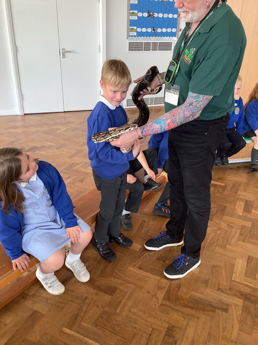 Grimoldby_Y4's tweet photo. @MeetTheBeasts @grimoldbyschool 🐍 https://t.co/8HAcMSVtpO