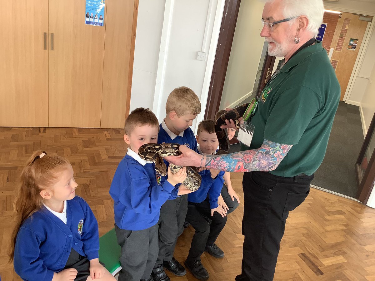 Grimoldby_Y4's tweet photo. @MeetTheBeasts @grimoldbyschool 🐍 https://t.co/8HAcMSVtpO