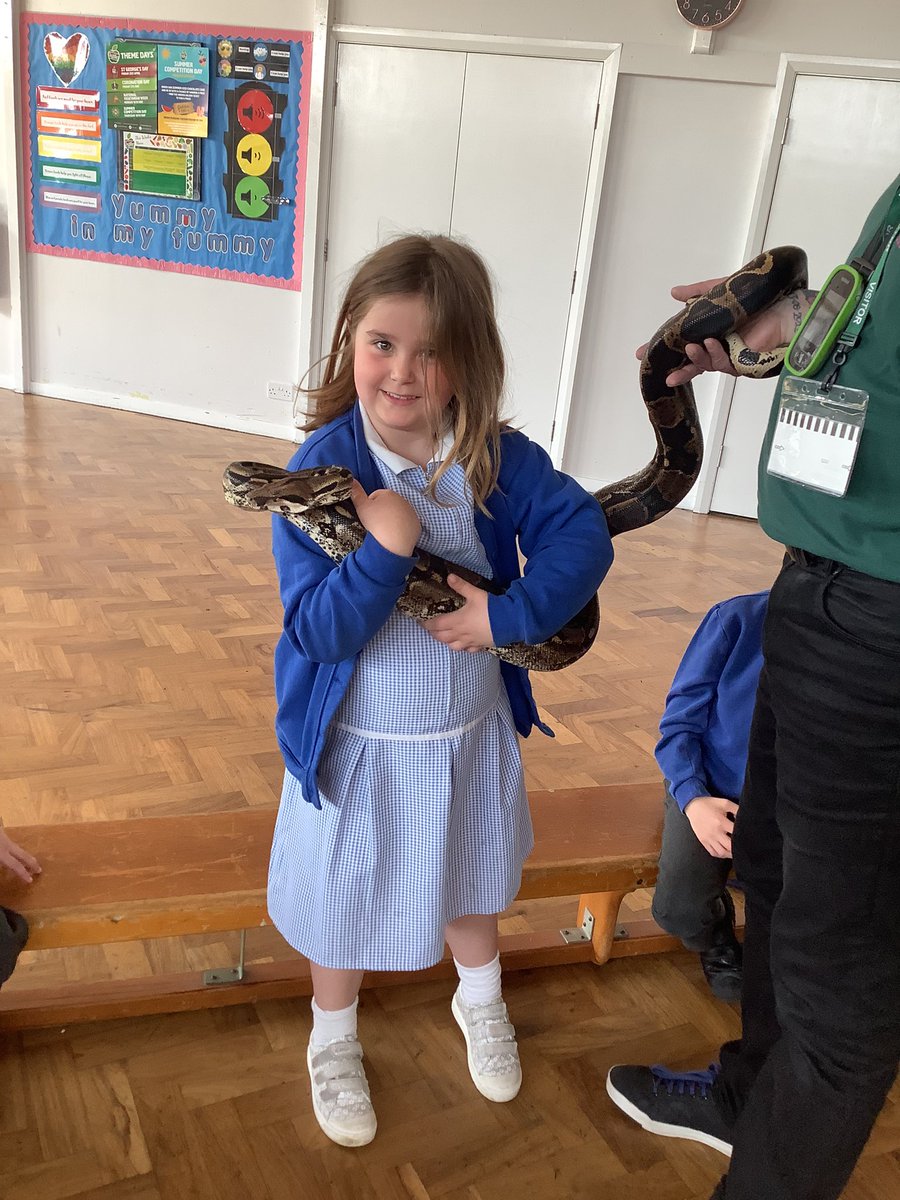 Grimoldby_Y4's tweet photo. @MeetTheBeasts @grimoldbyschool 🐍 https://t.co/8HAcMSVtpO