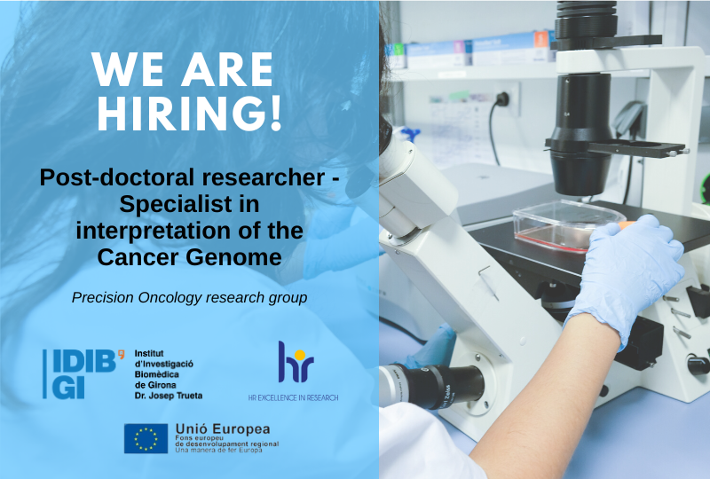 📢 JOB OFFER Post-doctoral researcher - Specialist in interpretation of the Cancer Genome

Expected incorporation: May 2023

Expected duration: Octorber 2026

Working hours: 40h/week

Find out more: idibgi.org/en/treball/pos… #hiring