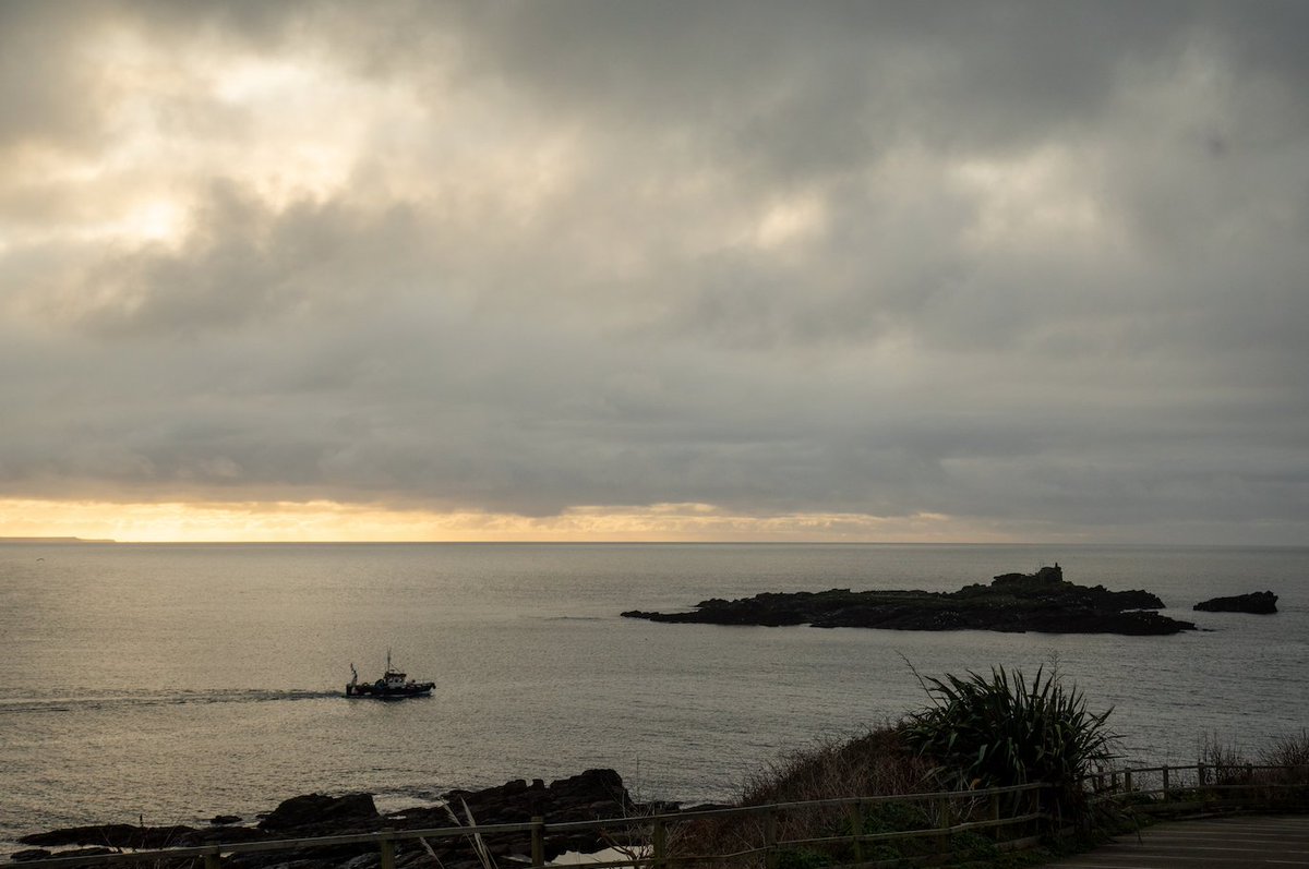 EXPERIENCE Project Cornwall tweet media