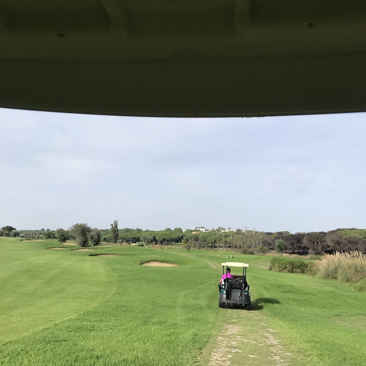 Pinheiros Altos Golf tweet media