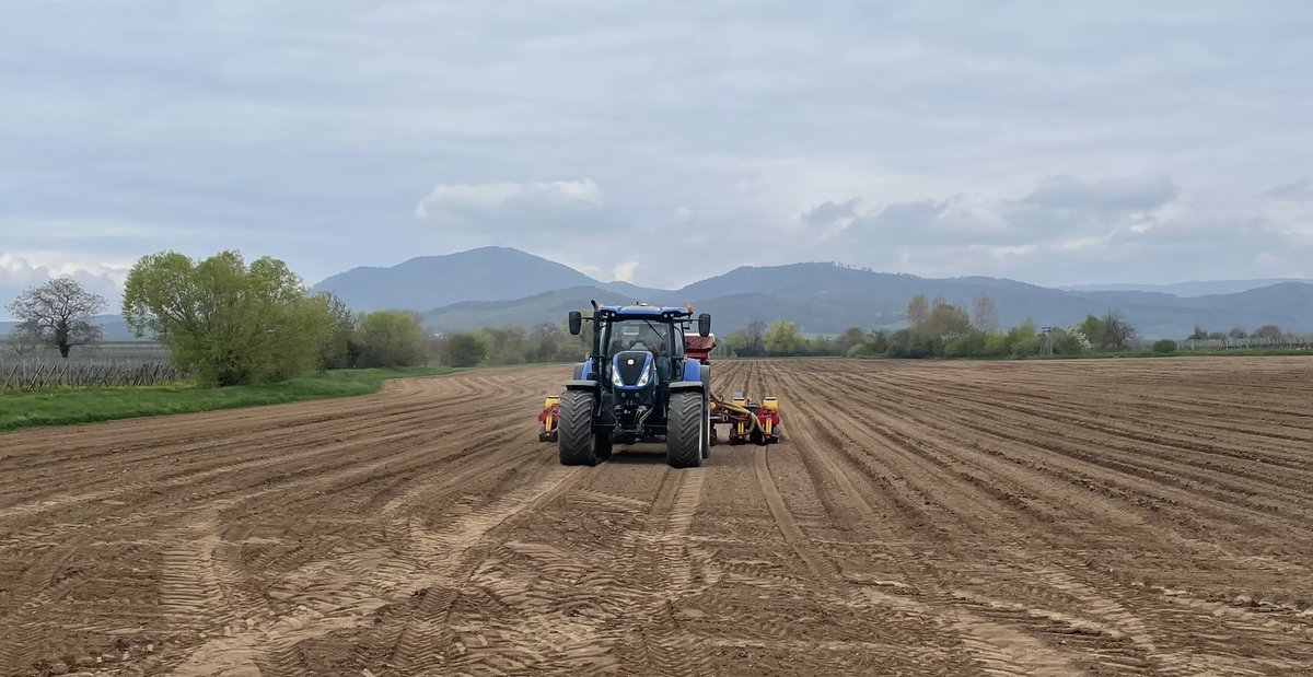 Petite visite à <a href="/remy67600/">HEIM Rémy</a> pendant ses semis de 🌽