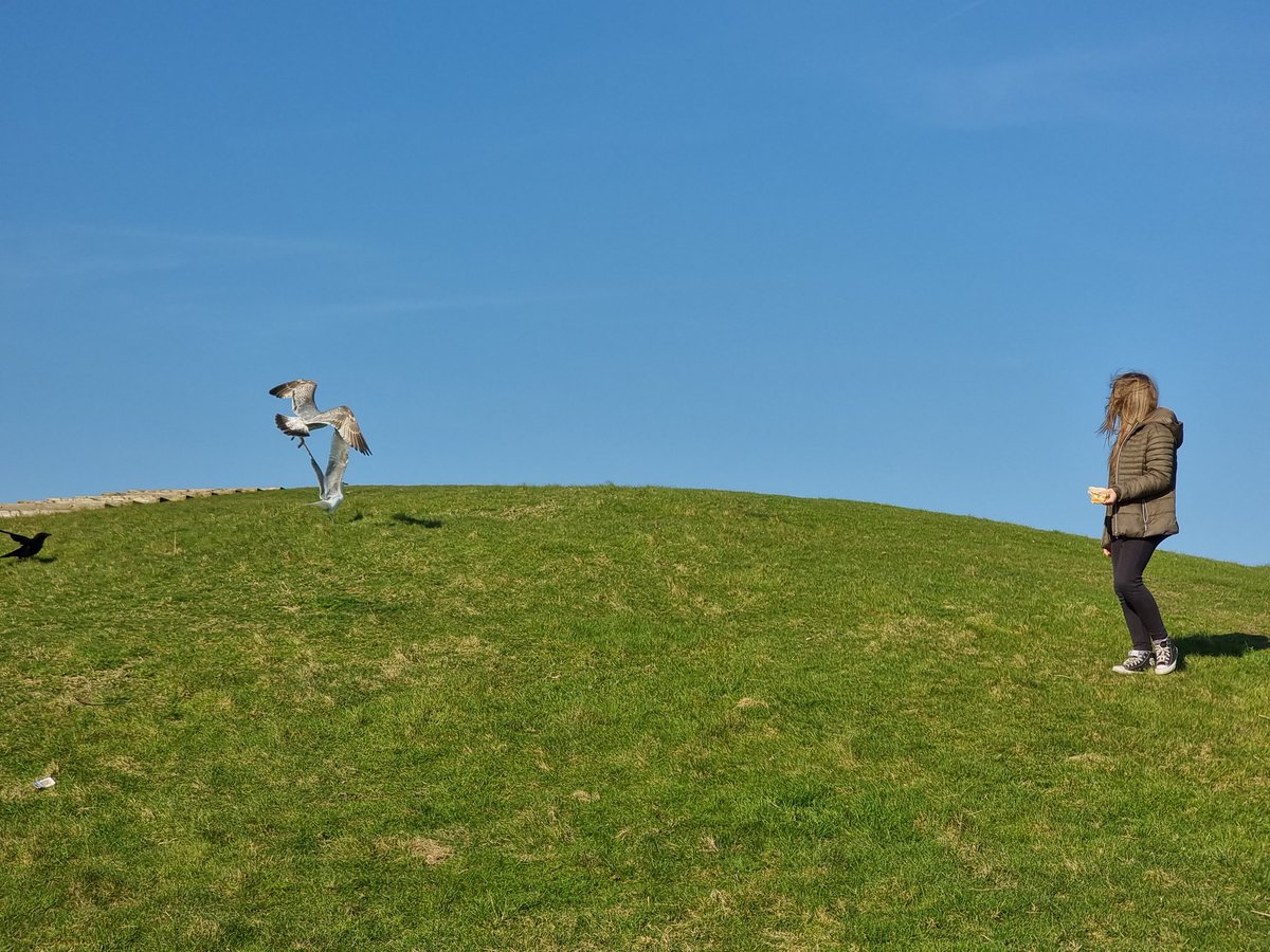 Out with Bree yesterday after school whilst she was completing her Eco warrior challenge for school. Climbing a hill, having a picnic, feeding a wild animal ( seagulls loved her lol ), and putting litter in bin to name just a few was even awake early to catch the sunrise.