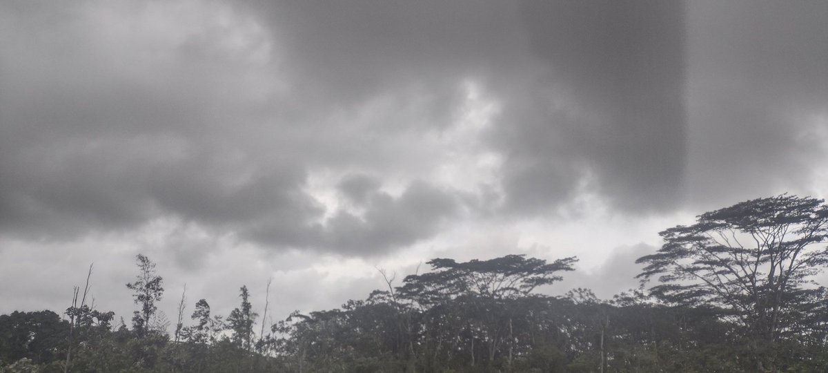 tydynrain3's tweet photo. I Am #AliveAndThriving Today! || #IAmAliveChallenge || Daily Off-Grid Jungle Journal Entry: Day #265 - Work on the Doghouse Internet Antennas - GaiaYoga Gardens, Lower Puna, Far East Big Island, Hawai'i - Tuesday, April 18, 2023

https://t.co/gUwhShYPbi

#Hive #Web3 #Hiver https://t.co/mIDIEyYJvy