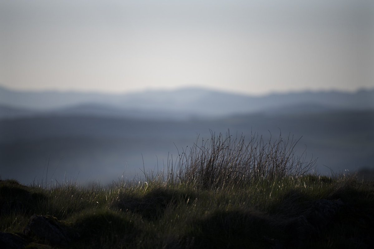 james  tweet media