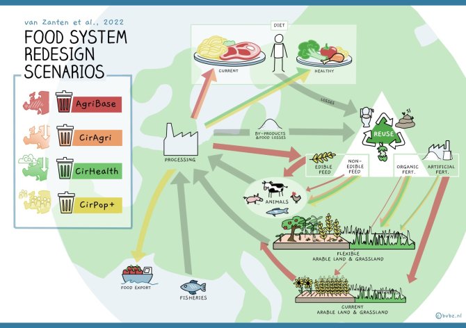 #FoodSystems🔄| The EU wants a circular food system, but what is required for this transition? Hannah van Zanten (<a href="/WURplant/">WUR Plant</a>) and colleagues have outlined 4 scenarios, "Our model is the first to look into the circularity of the entire food system in detail."bit.ly/3GXg3Km