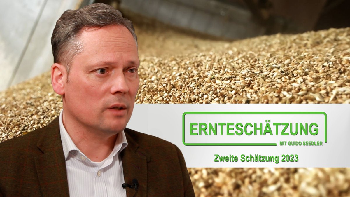 Raiffeisen_DRV's tweet photo. In der 2. DRV-Ernteschätzung schaut Getreidemarktexperte Guido Seedler neben der #Ernte|prognose sorgenvoll auf den von #Polen verhängten #Importstopp für ukrainisches #Getreide. Seedler: „Es muss schnell eine Lösung auf Brüsseler Ebene gefunden werden"
📺https://t.co/eovFuwaLdv https://t.co/l0eL0tx4Ff