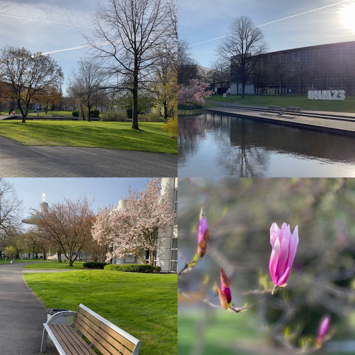 A wonderful good morning to all of you at Hannovermesse #HM23! Sun, blossoms and insightful demos await you - esp. when you come to the @nokia booth F06 in hall 15 #Industry40 #privatewireless #digitalisation