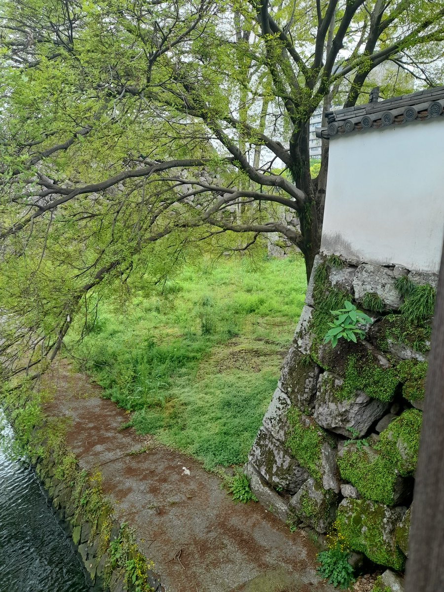Flowers in Oita, Japan