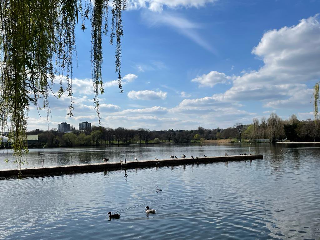 SaveWimbldnPark's tweet photo. Private Eye today @Merton_Council @wandbc @CPRELondon @WimSoc @WarrenFarmNR @BeraSW19 @TiCLme #environment #trees #promises #lakewalk https://t.co/oJx1fJV8co