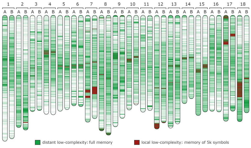 We are pleased to present AlcoR: a toolkit for #Simulation , #mapping , #masking &amp; #visualization  of low #complexity regions in #biological data 🤩

doi.org/10.1101/2023.0…
cobilab.github.io/alcor/

#Bioinformatics #OpenScience #OpenSource 
#Software #coding #C #DataCompression