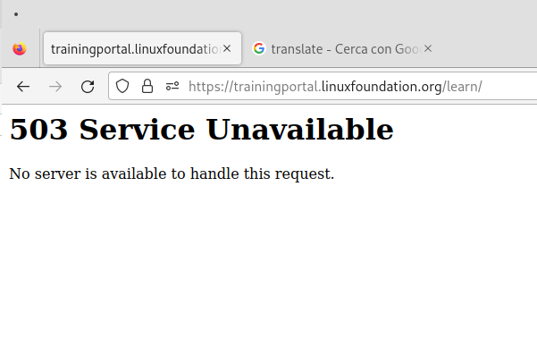 Anto Fox tweet media