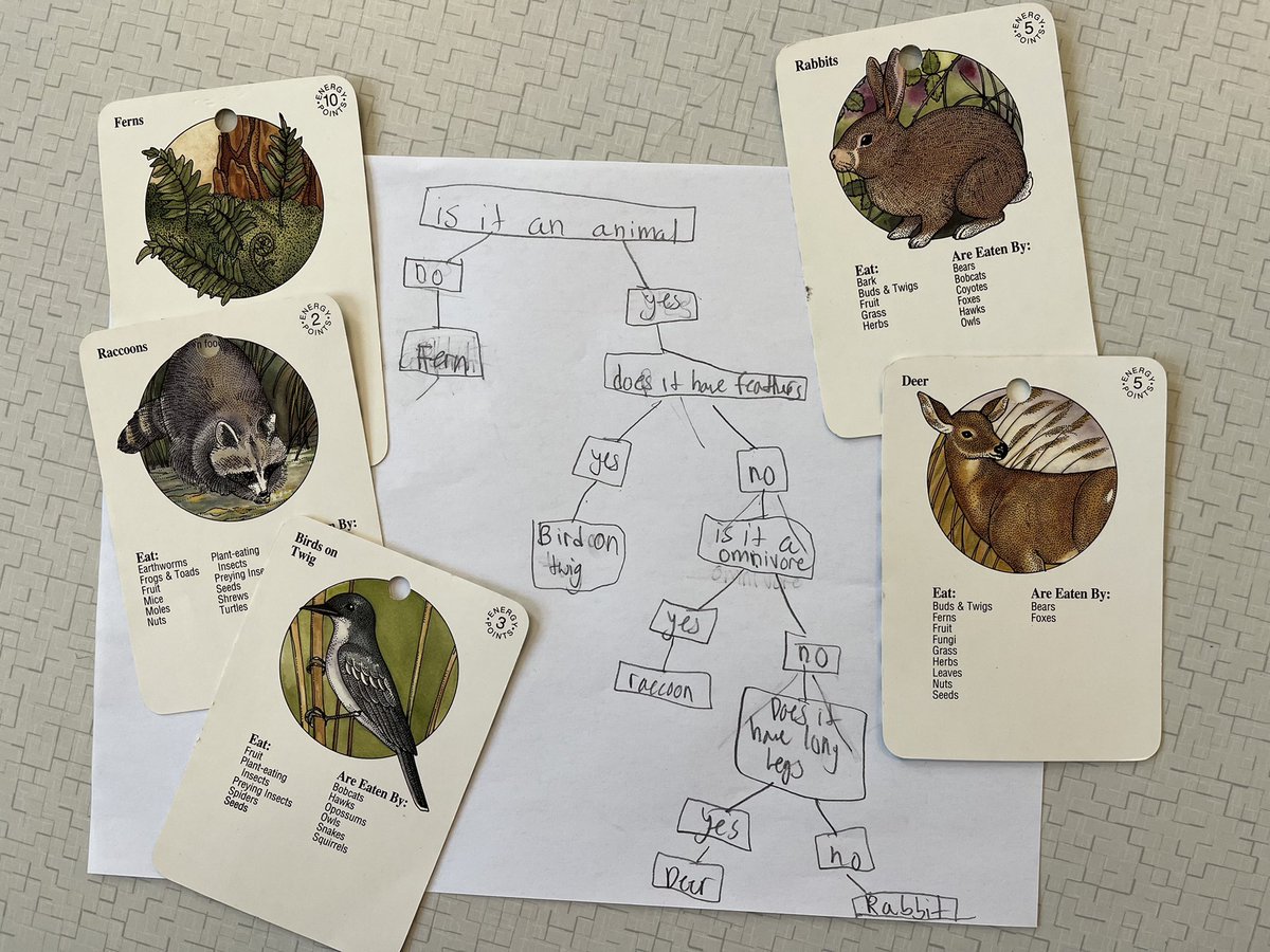DoLikeDewey's tweet photo. When you can’t find a dichotomous key with local species to use with your students … have students make ‘em themselves!  @BISHuskyPride #Create #ThinkLikeAScientist #TeamworkMakesTheDreamWork https://t.co/NbhyP6bDnx