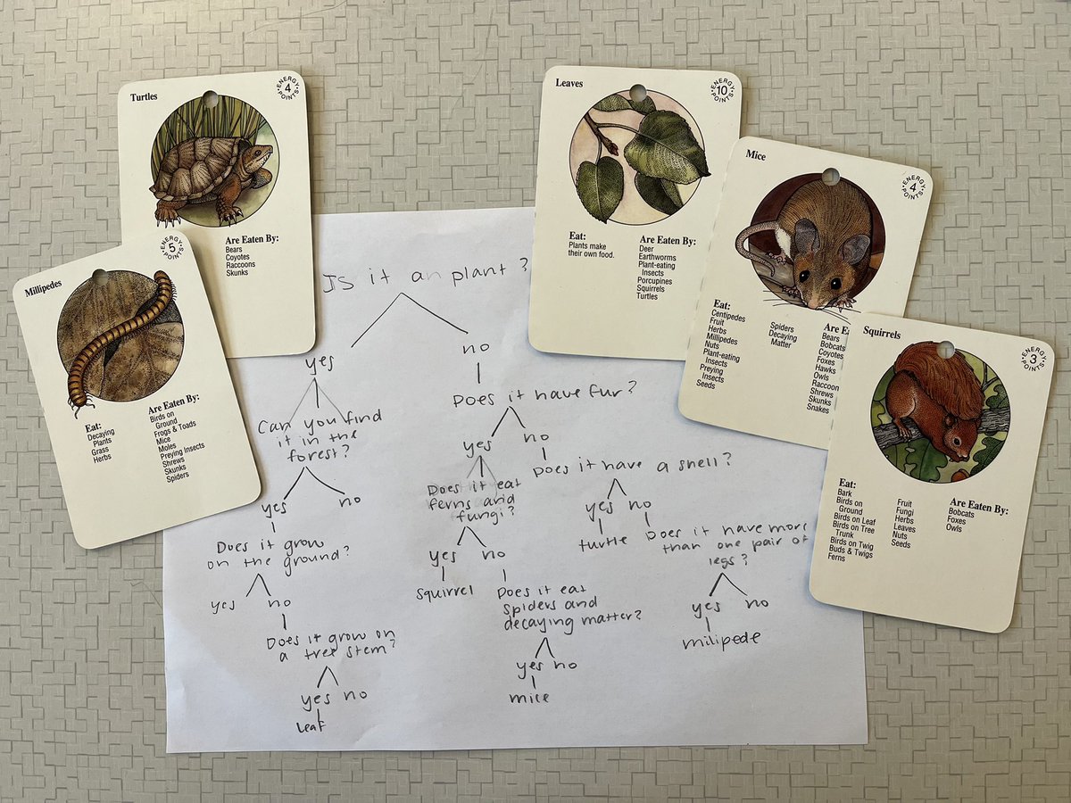 DoLikeDewey's tweet photo. When you can’t find a dichotomous key with local species to use with your students … have students make ‘em themselves!  @BISHuskyPride #Create #ThinkLikeAScientist #TeamworkMakesTheDreamWork https://t.co/NbhyP6bDnx