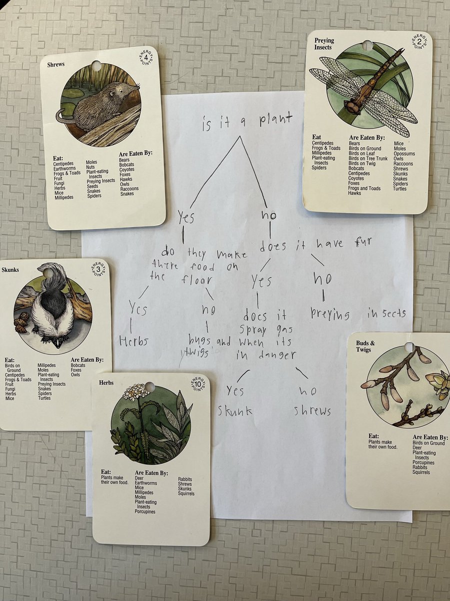 DoLikeDewey's tweet photo. When you can’t find a dichotomous key with local species to use with your students … have students make ‘em themselves!  @BISHuskyPride #Create #ThinkLikeAScientist #TeamworkMakesTheDreamWork https://t.co/NbhyP6bDnx