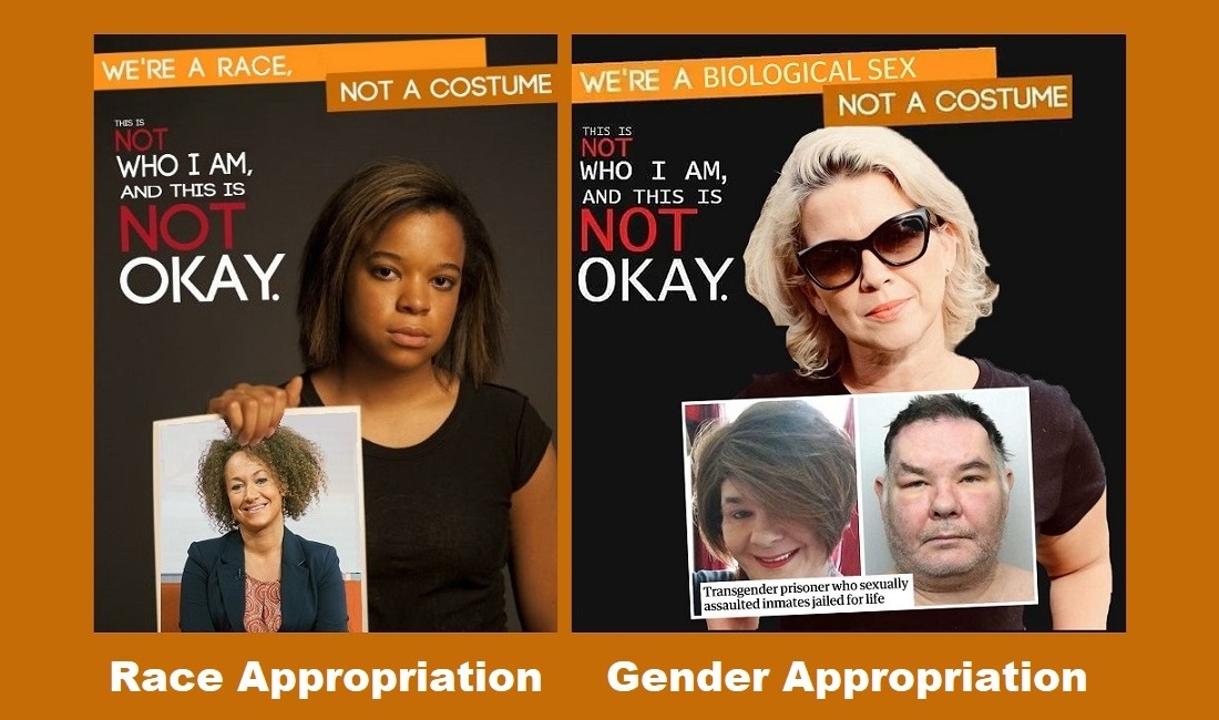 Lutz101's tweet photo. @OkBiology @francesleach_ Males who engage in womanface and seek to appropriate and colonize the female gender are committing a misogynist hate crime, just as whites who engage in blackface and seek to appropriate and colonize the black race are committing a racist hate crime. #Transgender #Transrace https://t.co/rMmldSzN6c