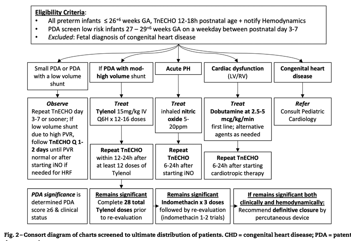 📄 This paper from @UIowaPeds not only outlines their hemodynamic screening approach to PDA in infants ≤ 26 wks but also reports how that strategy reduced rates of death or severe #BPD by 50% and improved survival free of severe morbidities to 73% in 22-23 wks infants!…