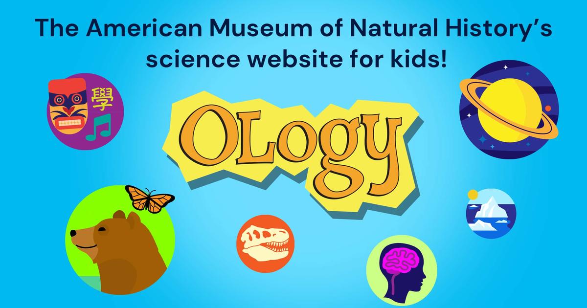 Bookmark this site: OLOGY! 

It's full of #science resources, activities, and more!

sbee.link/4638rmfgxv via @amnh
#scichat #teachertwitter
