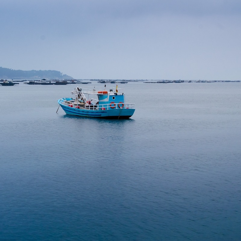 EU_MARE's tweet photo. New advice for the protection of Vulnerable Marine Ecosystems in #EUwaters from 
@ICES_ASC

Next:
1⃣ Meetings with 🇪🇺 countries &amp; stakeholders in April
2⃣ Socio-economic opinion from #STECF delivered in July
3⃣ Consultations &amp; review process

✅Positive engagement from all is key