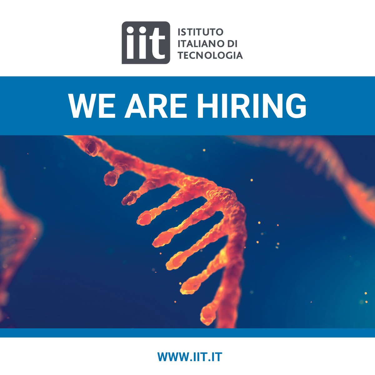 IITalk's tweet photo. We can't wait to spot 🎯our next #ScientificProjectManager who will join the Computational Statistics and Machine Learning Research Line and work on the “Future Artificial Intelligence Research"-FAIR project.
Apply here 👉 https://t.co/tsvdYnBIJt https://t.co/WnuG3Io98f