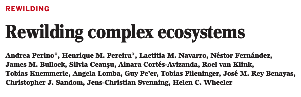 RewildingS's tweet photo. Today we're looking at Rewilding Complex Ecosystems, a paper that provides a framework for rewilding projects that aims to work with previous criticisms of rewilding
1/
@hmlfpereira @JCSvenning @Nature_Based
#rewilding #rewildingscience https://t.co/35DZcW62Dr