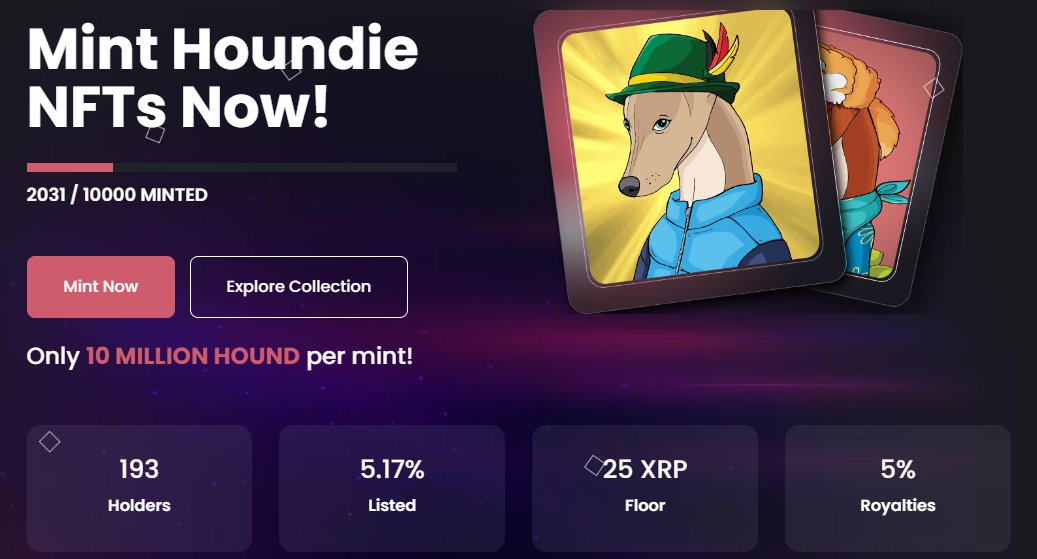 XRPLGreyhound's tweet photo. Over 2000 #Houndies minted ALREADY! 🥳

No #xrpnft collection is complete without a Houndie!

Mint: 👉https://t.co/CBZRaMVqWe

Remember the entire fee in $HOUND gets burned! 🔥

#XRPLCommunity #XRPL #XRPLGreyhound https://t.co/Jx5OhSLm5j