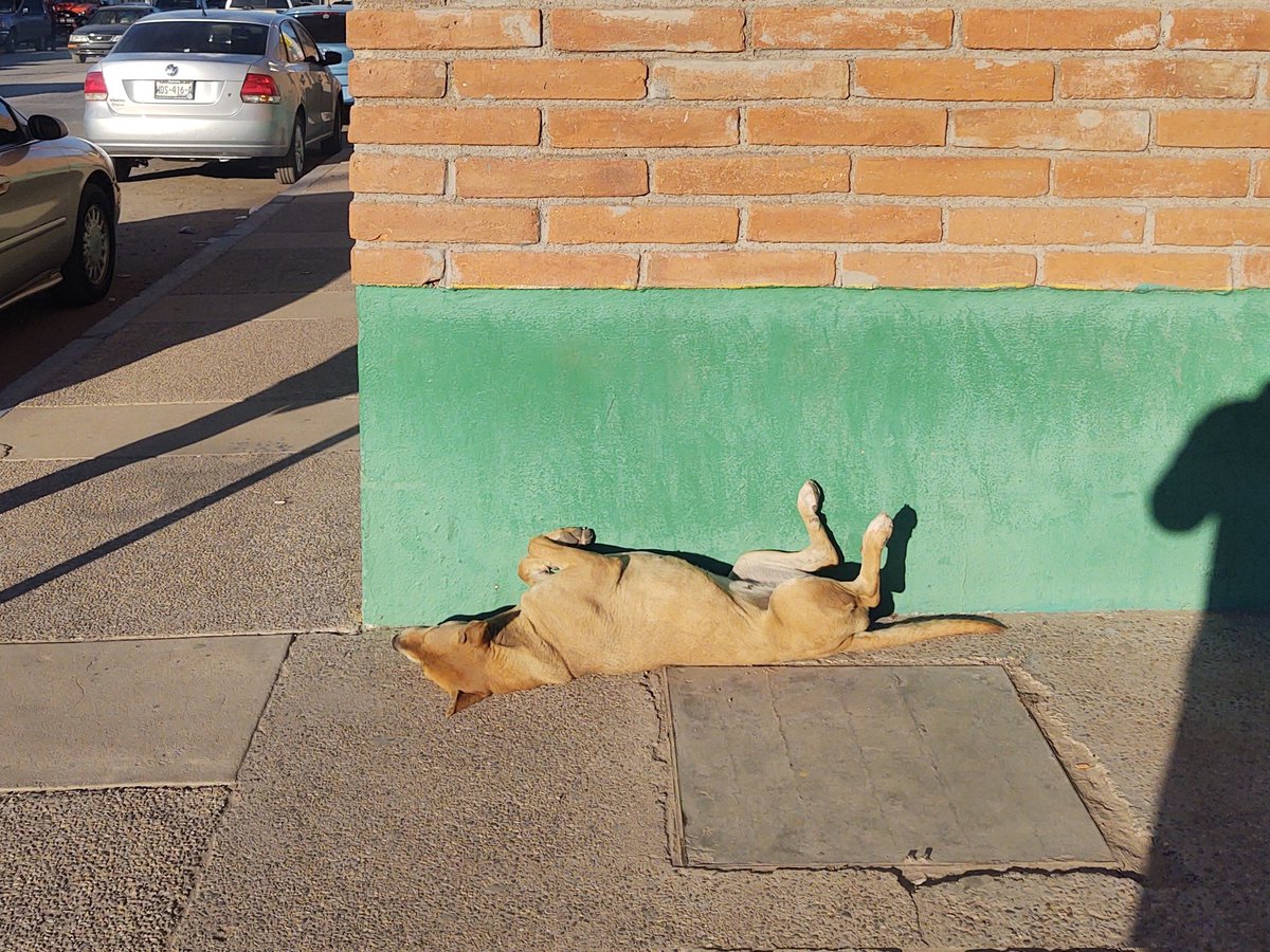 shapeofstreets's tweet photo. #streetphotography #somewhereinhmo https://t.co/SBqgb7rlZL