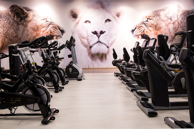 <a href="/9Fitness/">9Fitness</a> es todo lo que necesitas para arrancar la semana a tope de energía 🏋🏻‍♀️💪🏼🔥

#PlazaÉboli #Gimnasios #Madrid