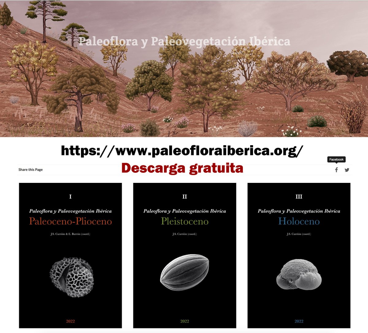 RJBOTANICO's tweet photo. Se presenta en el @RJBOTANICO @CSIC la obra ‘Paleoflora y Paleovegetación Ibérica’, fruto del trabajo colectivo de decenas de investigadores y especialistas coordinados por @pepecarryon y Eduardo Barrón
📌Salón de Actos
🗓️27 de abril, 18:00 h
https://t.co/kn8mh3S9Ll https://t.co/4hferegN2e