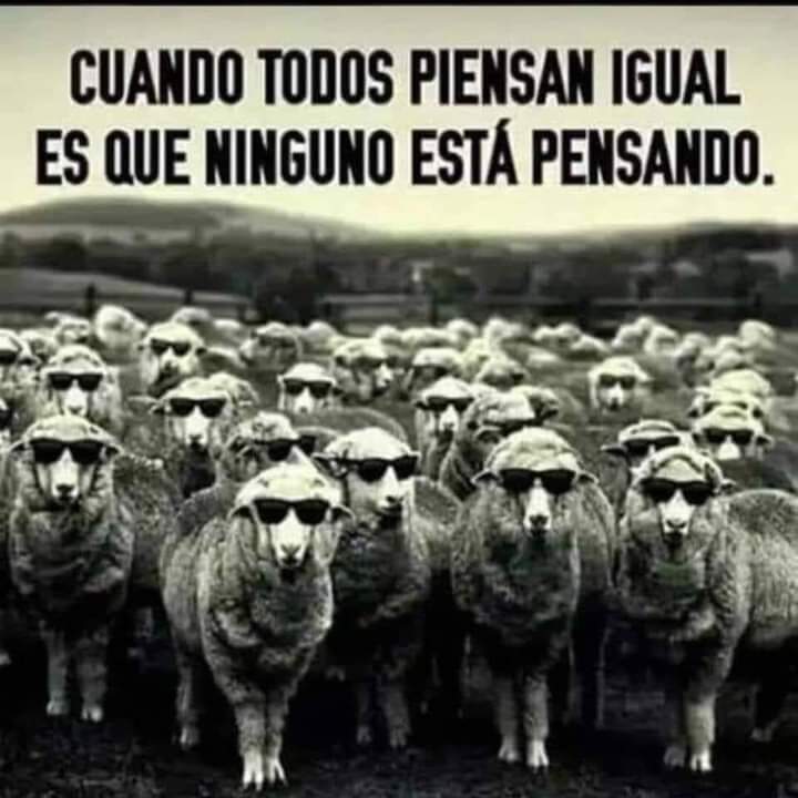 Son Chairos, sin lugar a dudas.