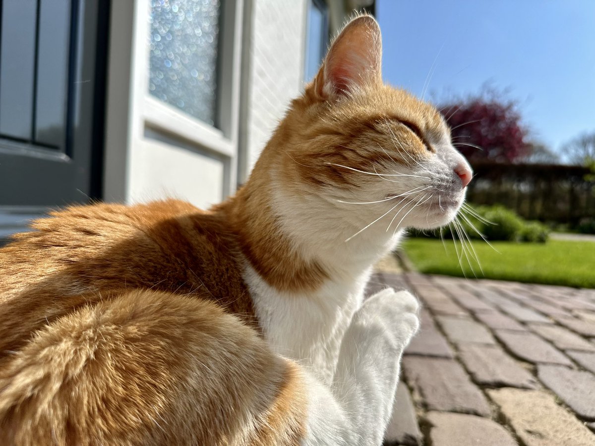 Erica van Leeuwen-de Bruijn tweet media