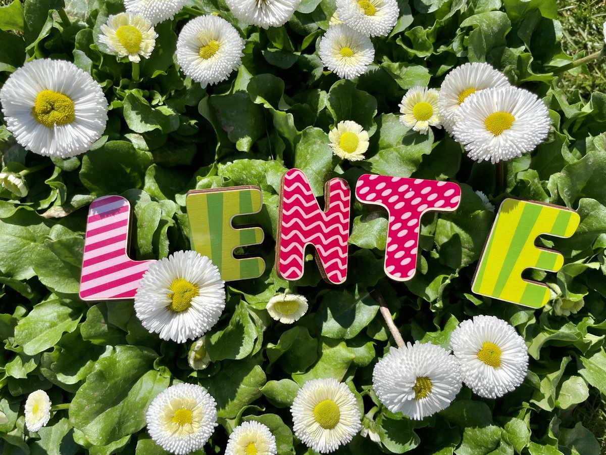 Een heerlijke lentedag in #Kloetinge ☀️😎🐈 
<a href="/weermanrobert/">➡️ Robert de Vries</a> <a href="/Alpenweerman/">Johanns (Alpen)weer @johannsalpenweer.bsky.social</a>  @Talpaweer <a href="/omroepzeeland/">Omroep Zeeland</a> <a href="/EdAldus/">Ed Aldus</a> <a href="/BuienRadarNL/">Buienradar</a> <a href="/Goesisgoes/">Goes is goes</a> <a href="/provzeeland/">Provincie Zeeland</a> <a href="/helgavanleur/">Helga van Leur ☀</a> <a href="/weerenradar_nl/">Weer & Radar Nederland</a> @ricoschroder  <a href="/weeronline/">Weeronline</a> <a href="/GemeenteGoes/">Gemeente Goes</a> <a href="/WNLVandaag/">WNL Vandaag</a>  @SevereWeather_N #lente