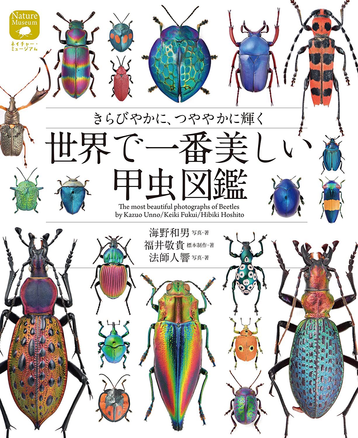 Keiki FUKUI 福井敬貴 on X: 