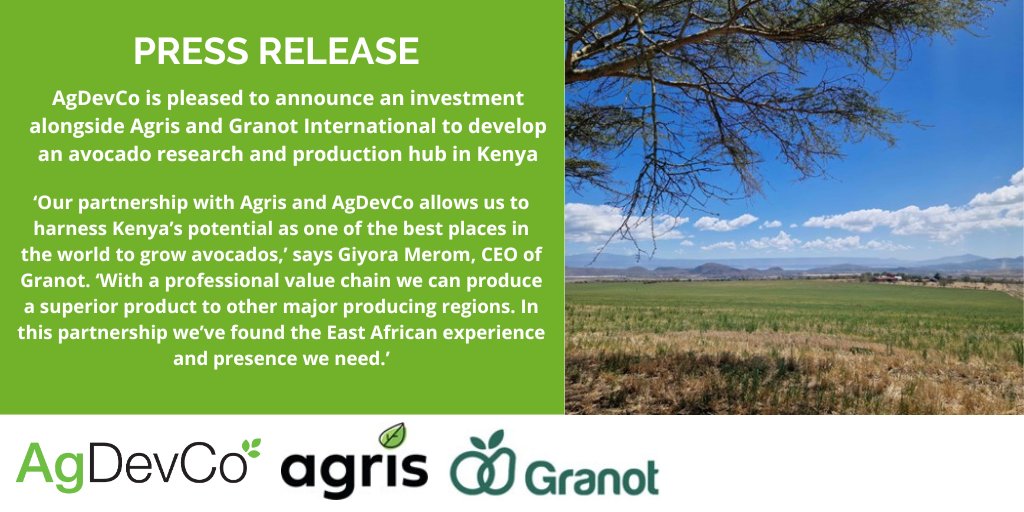 AgDevCo is pleased to announce an investment alongside Agris and Granot International to develop an avocado research and production hub in Kenya. Read the press release: bit.ly/3GV4dAv @agris_group @MarisAfrica #impinv #agdevco