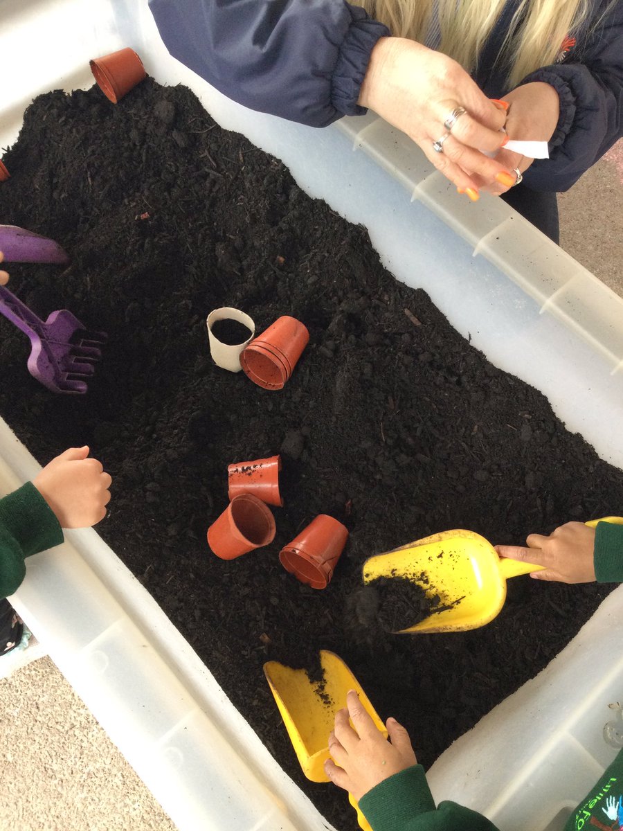 LittleForestNu2's tweet photo. We have been planting sunflowers! 🌻🌻🌻

Each child will have one to take home and take care of. 

The children’s challenge is to see how tall the sunflower can grow and to make sure they give the seed sunlight and water. https://t.co/CatB8Yam5J