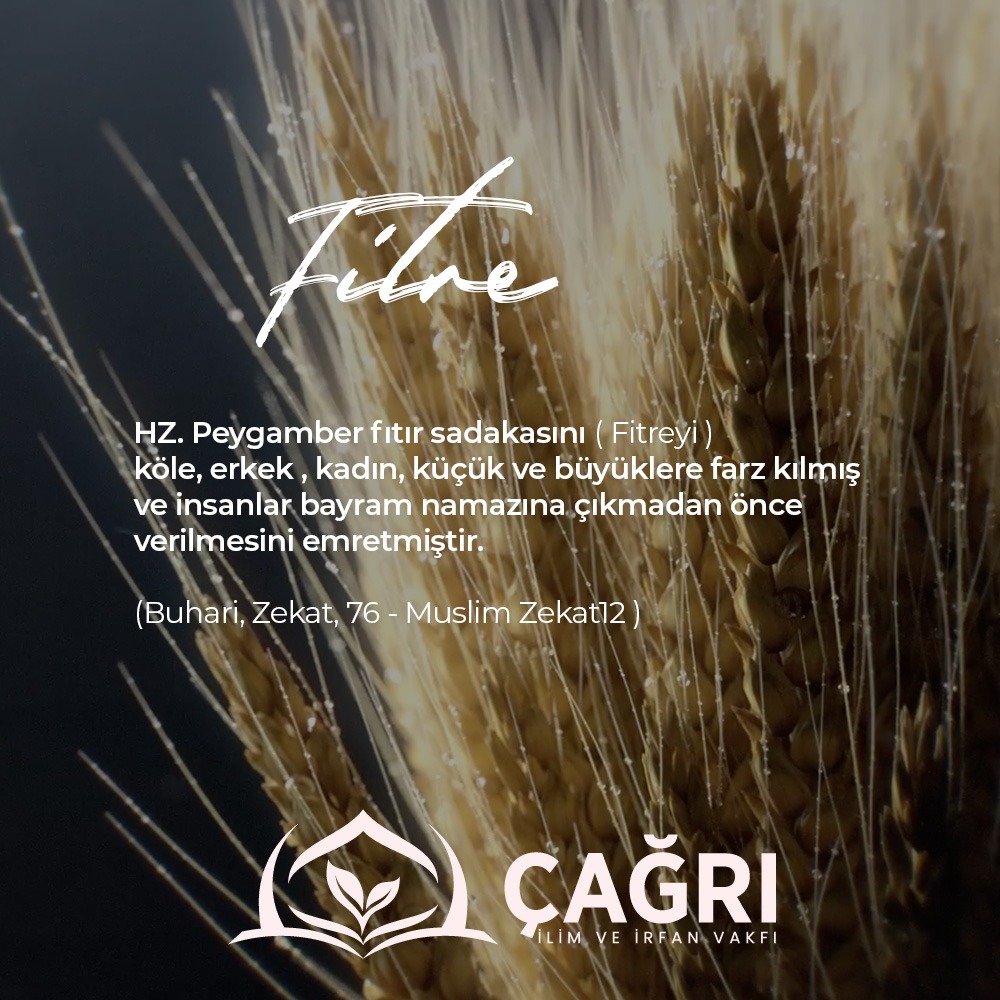 Fitre
--------------
İletişim için;
📞+90 850 888 2 571
🔗 cagrivakfi.org.tr
📍 Yeni Kent Mah Doğanaraslı Bulvarı No: 186/3 Esenyurt
--------------
#çağrıvakfı #çağrı #vakıf #ilimveirfan #ilimveirfanvakfı #fitre