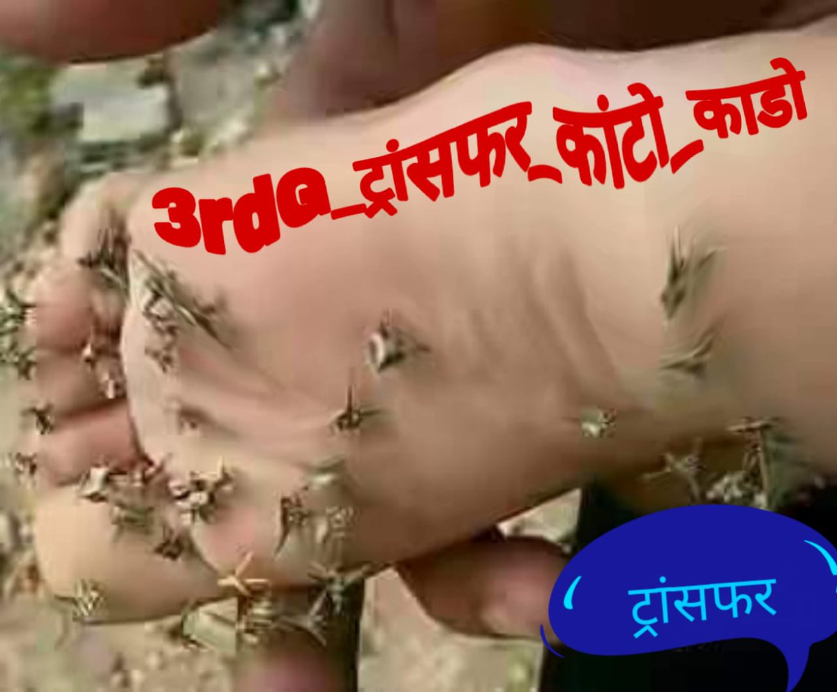 #3rdG_ट्रांसफर_कांटो_काडो
मुख्यमंत्री <a href="/ashokgehlot51/">Ashok Gehlot</a> जी इस कांटे को जल्दी निकालो नही तो चुनावो में ये नासुर बन जाएगा
<a href="/1stIndiaNews/">First India News</a> 
<a href="/GovindDotasra/">Govind Singh Dotasra</a> 
<a href="/INCRajasthan/">Rajasthan PCC</a> 
<a href="/zeerajasthan_/">ZEE Rajasthan</a> 
<a href="/dsrajpurohit291/">Doonger Singh</a> 
<a href="/DrBDKallaINC/">Dr. Bulaki Das Kalla</a> 
<a href="/DrSatishPoonia/">Satish Poonia</a> 
<a href="/DrKirodilalBJP/">Dr. Kirodi Lal Meena</a> 
<a href="/drcpjoshi/">Dr. C.P. Joshi</a> 
<a href="/News18Rajasthan/">News18 Rajasthan</a>