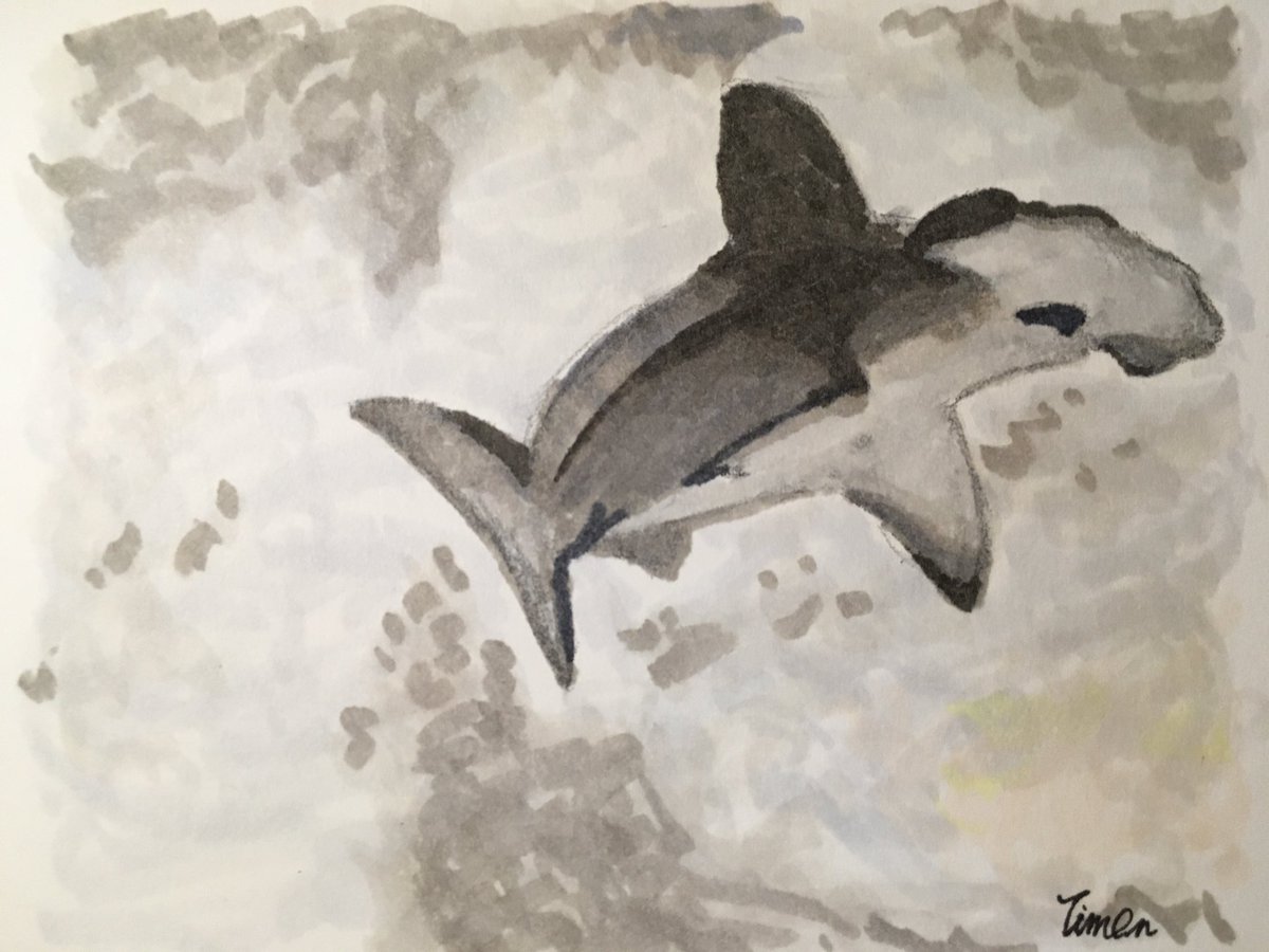 6x25's tweet photo. しゅもくざめ

#サメ #さめ #鮫 #シュモクザメ #hammerhead #魚 #海の生き物 #絵 #イラスト #shark #illustration https://t.co/3N3Eq8mfjA