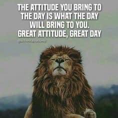 Bounce Back:✊🏾🏈💛💙
#BeGreat👍🏾💯‼️