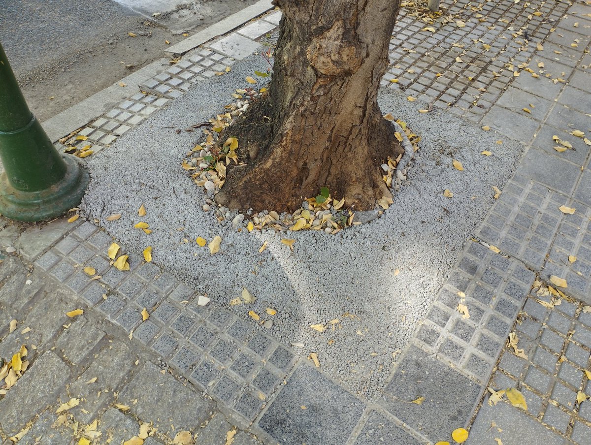 CrdobaDenuncia1's tweet photo. ¿Drenante? No sé, no sé #CótdobaNOavanza https://t.co/0CmaqxEK0t