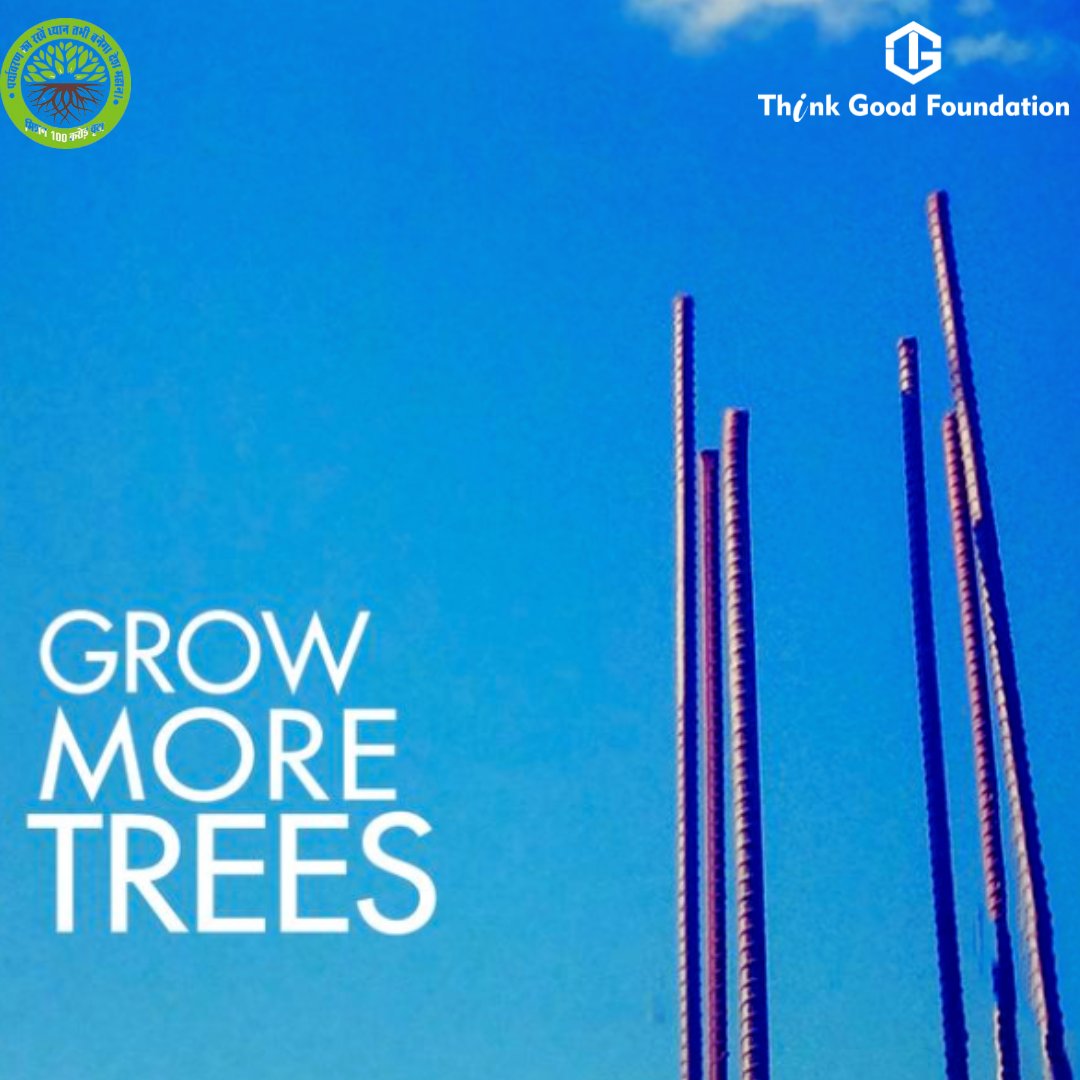 No more concrete Cities. #ClimateActionNow 
#plantmoretrees #cleanair #pollution #air #future  #children #green @mission100cr @MoJSDoWRRDGR @Sdg13Un @worldgreendlp @MoJSDoWRRDGR #nature