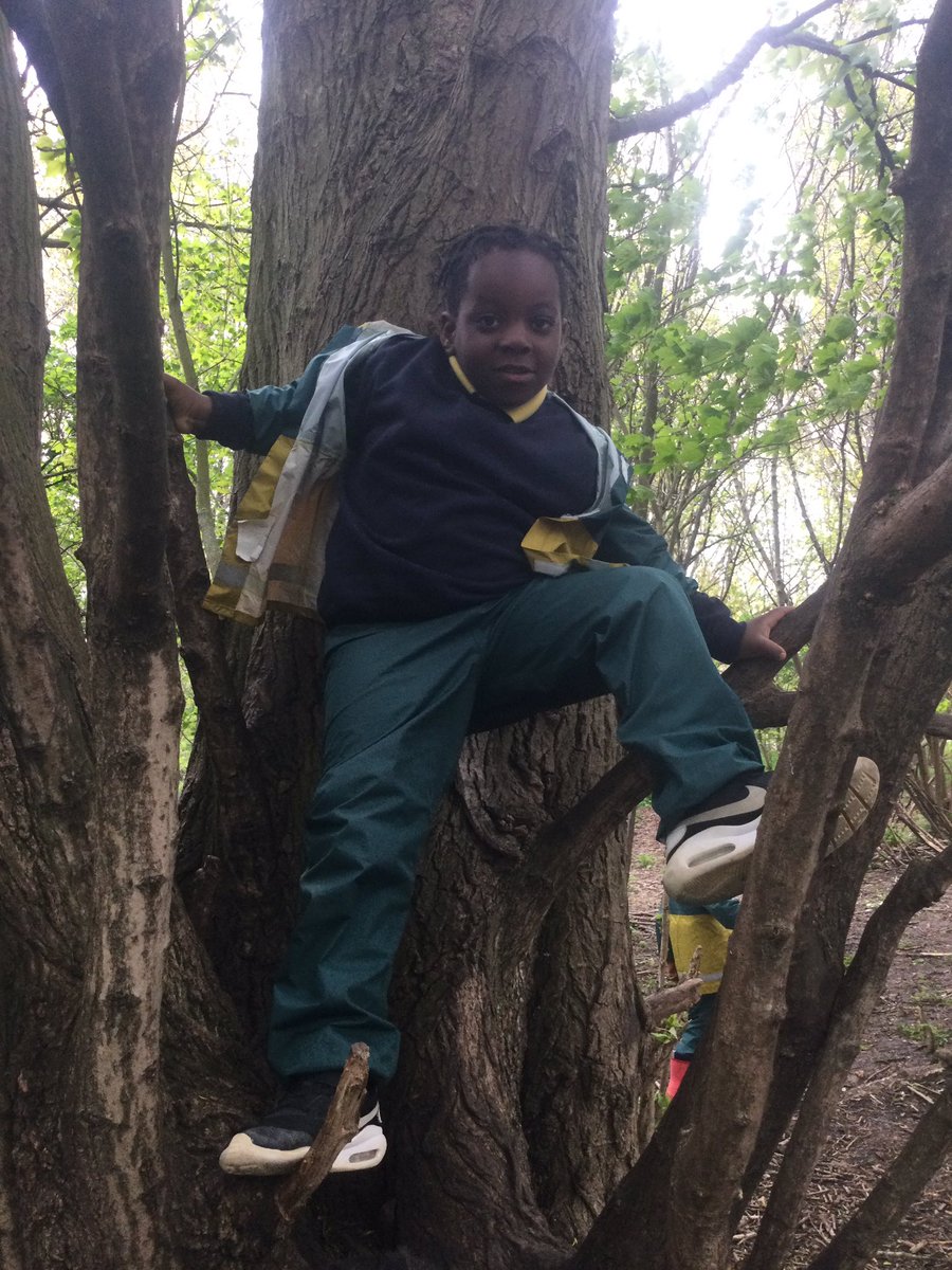 Morningside_ps's tweet photo. #Reception had a wonderful time at the forest. We used a saw to cut some wood, climbed the trees, had races in the field and played in the mud. #forestschool #hackneyforestschool #understandingtheworld #eyfs #utw #exploringoutdoors #learningoutside #grossmotorskills https://t.co/kJFwVIGpwW