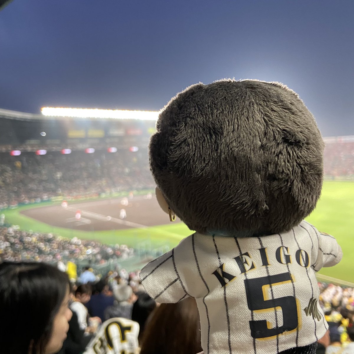 jamjamichi_11's tweet photo. 見てます✨✨
くそー、51だったか‼︎‼︎‼︎
#JO1 #KEIGOSATO
#TigerJack https://t.co/V4qPp5NinK