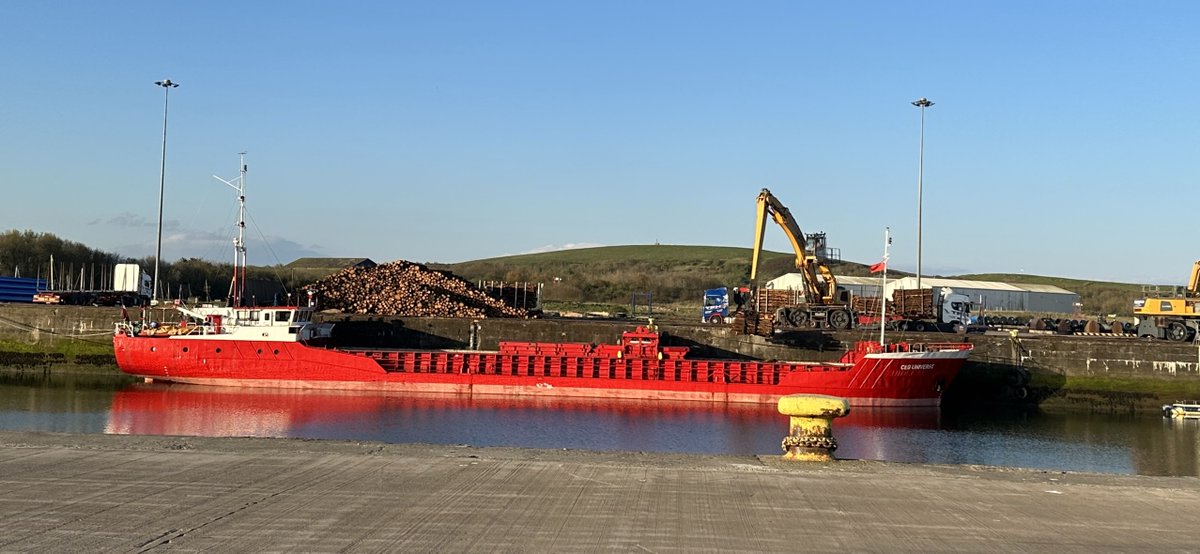 CEG Universe discharging cargo in early morning sunshine before setting sail to Kyle of Lochalsh. #PhotoOfTheDay #logs #portofworkington #cargohandling #intermodalhub