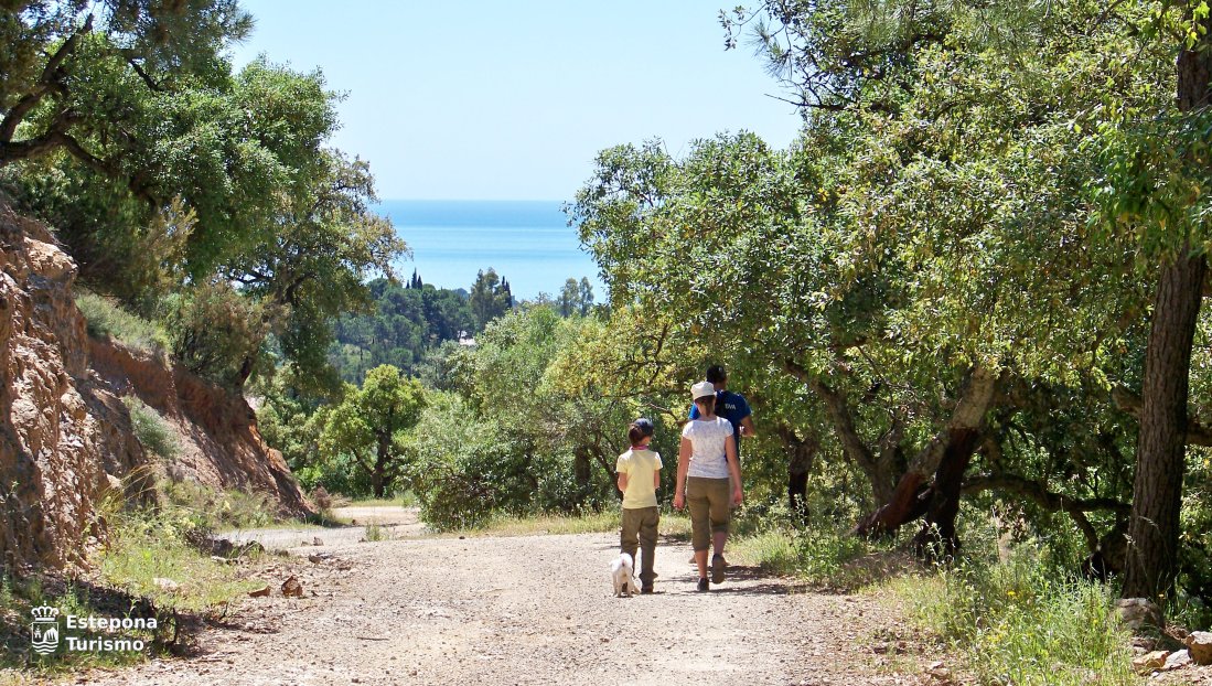 EsteponaTurAyto's tweet photo. Época ideal para hacer #senderismo y disfrutar de la #naturaleza en #familia 📷Ideal time to go #hiking and enjoy #nature with the #family
+ info: https://t.co/b1Fj2tBaTi
#SierraBermeja #estepona #costadelsol #senderismo #hiking #montaña #mountaint #naturelovers https://t.co/zowjoh8Jm1