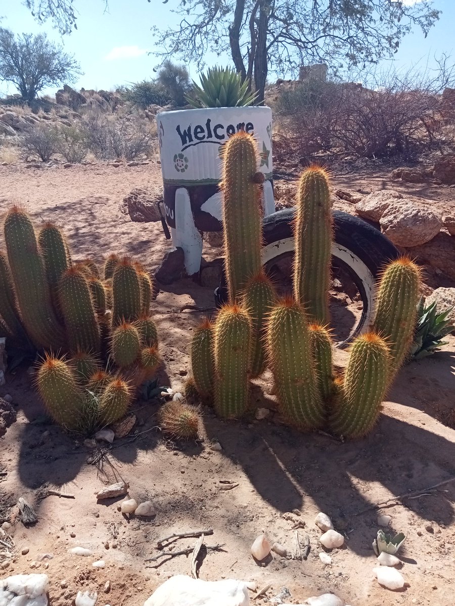 Loving Namibia so far. It's really a magical place.