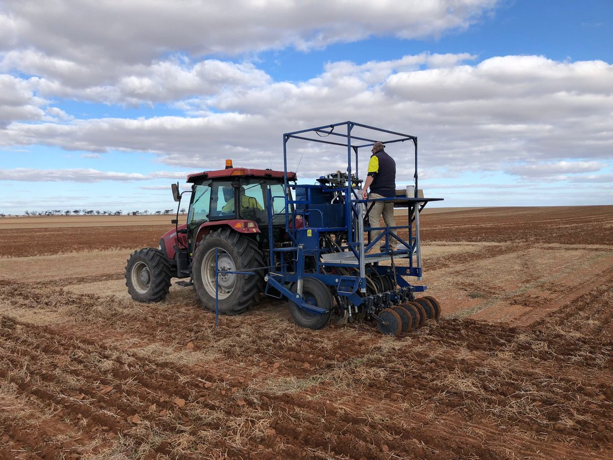 CaptainCanola's tweet photo. Fantastic effort by @AgXtra to finish planting yet another @PacificSeeds 2023 Hyola Canola Breeding Research Trial near Hopetoun Vic in the Mallee. #LeadingResearch for Australian growers. @hurgl1 @JoshMahns14 @donny_benn @schilgee @AgingAgro @Ella201093 @danrollsroyce @SteveLamb6